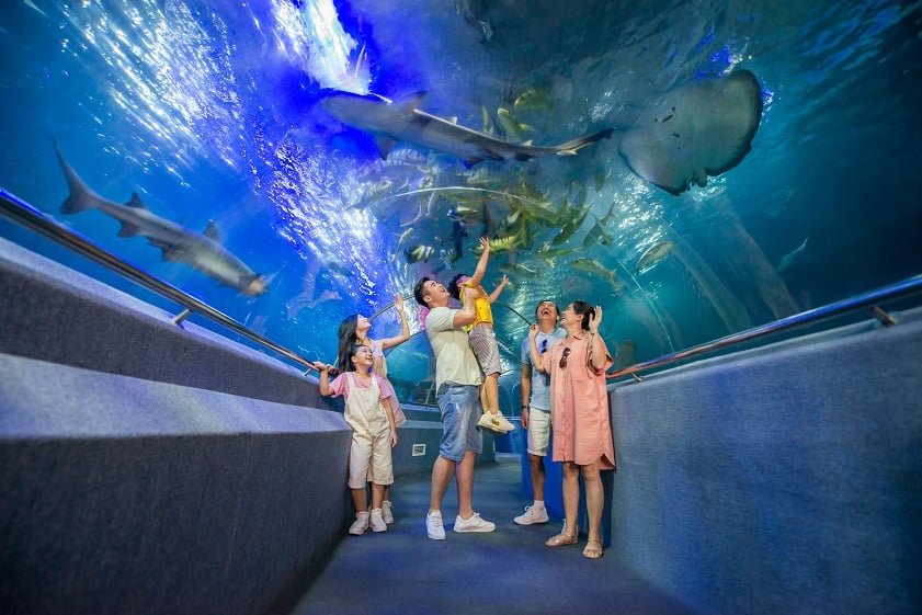 Билеты в VinWonders Nha Trang · Фото 11